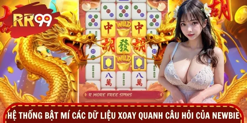 Hệ thống bật mí các dữ liệu xoay quanh câu hỏi của newbie
