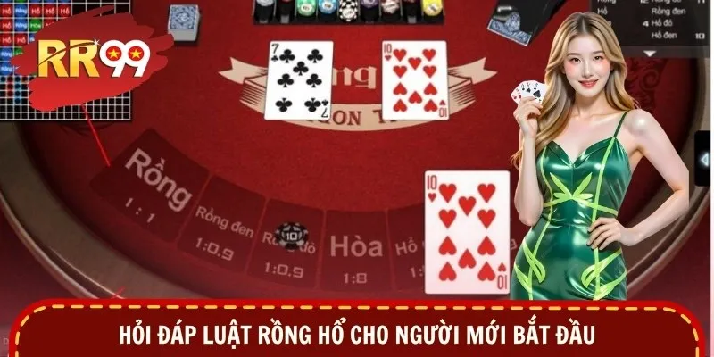 Hỏi đáp luật Rồng Hổ cho người mới bắt đầu