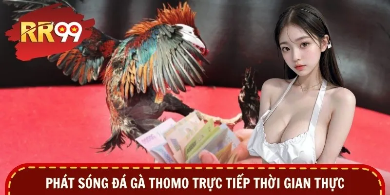 Phát sóng đá gà Thomo trực tiếp thời gian thực