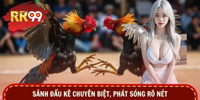 Sảnh đấu kê chuyên biệt, phát sóng rõ nét